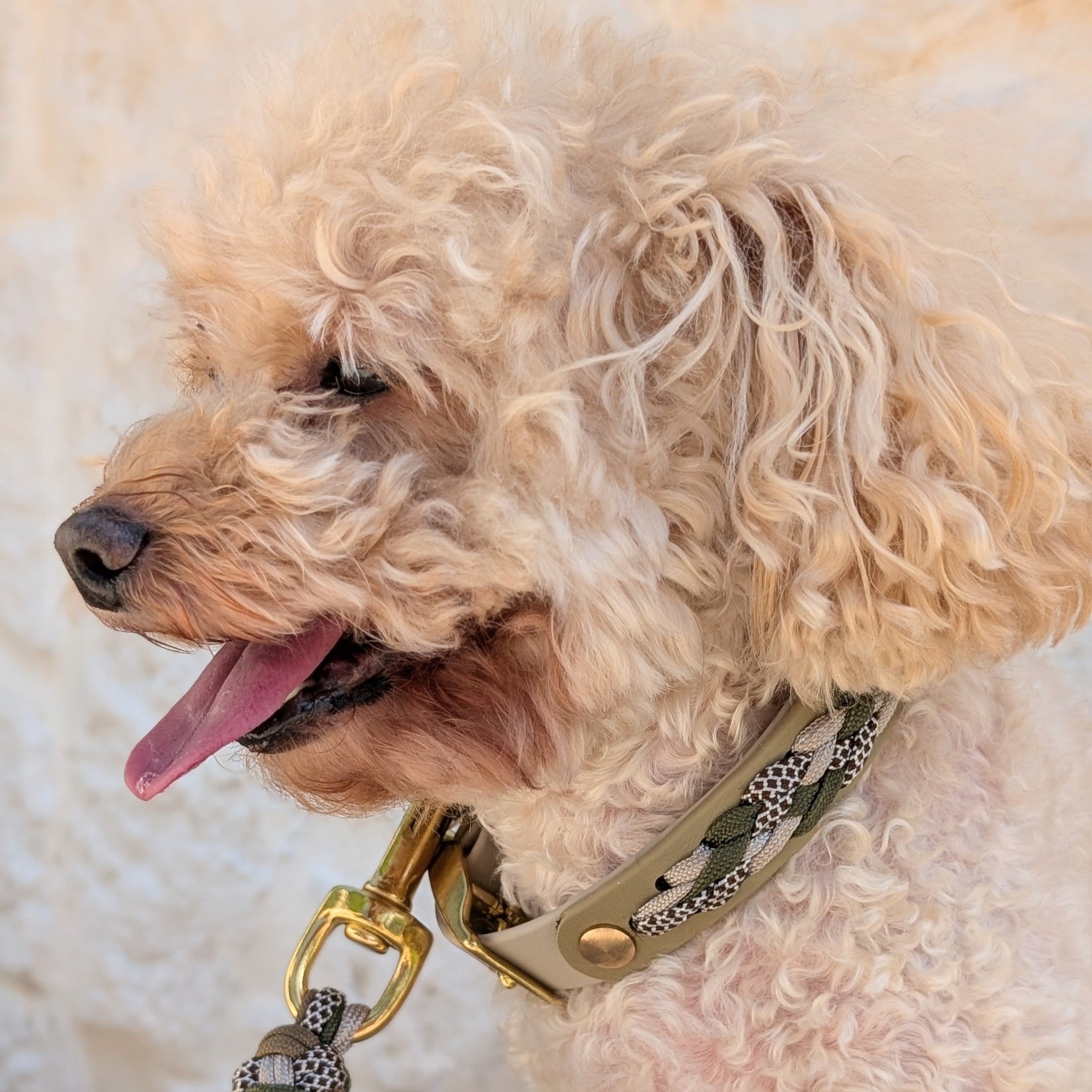 Calma Muddy Forest – geflochtenes Hundehalsband, Autumn Leaf Kollektion