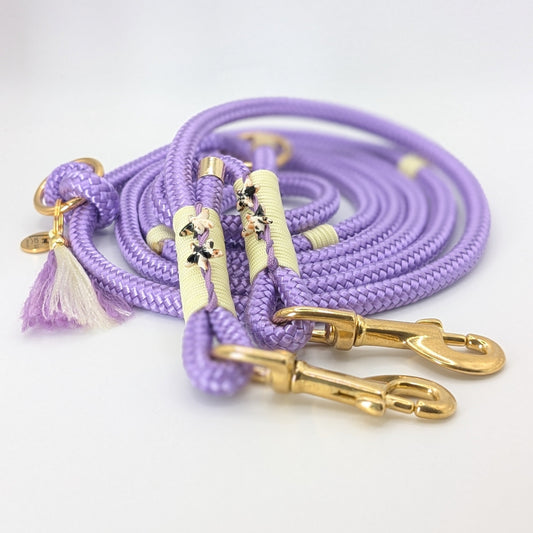 Hundeleine, Lederleine, Taueine, Hundehalsband