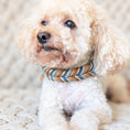 Bild in Galerie-Betrachter laden, Hund mit Lederhalsband Blue Oak in Dunkelblau & Cognac
