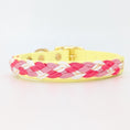 Bild in Galerie-Betrachter laden, Calma Candy Cream Hundehalsband aus geflochtenem Paracord in sanfter Farbkombination, handgemacht und passend zur Calma Leine Candy Cream.
