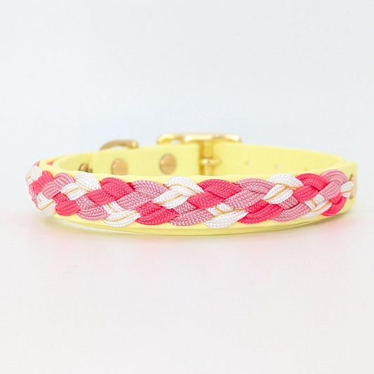 Calma Candy Cream Hundehalsband aus geflochtenem Paracord in sanfter Farbkombination, handgemacht und passend zur Calma Leine Candy Cream.