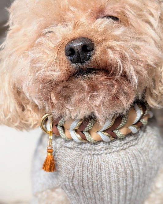 BioThane® Set Loam 2.0 – Halsband & Leine im erdigen Design