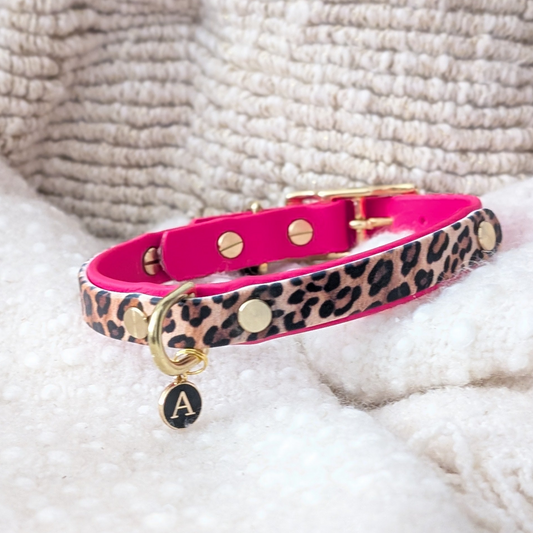BioThane Halsband Leo Jungle – zweifarbiges Design