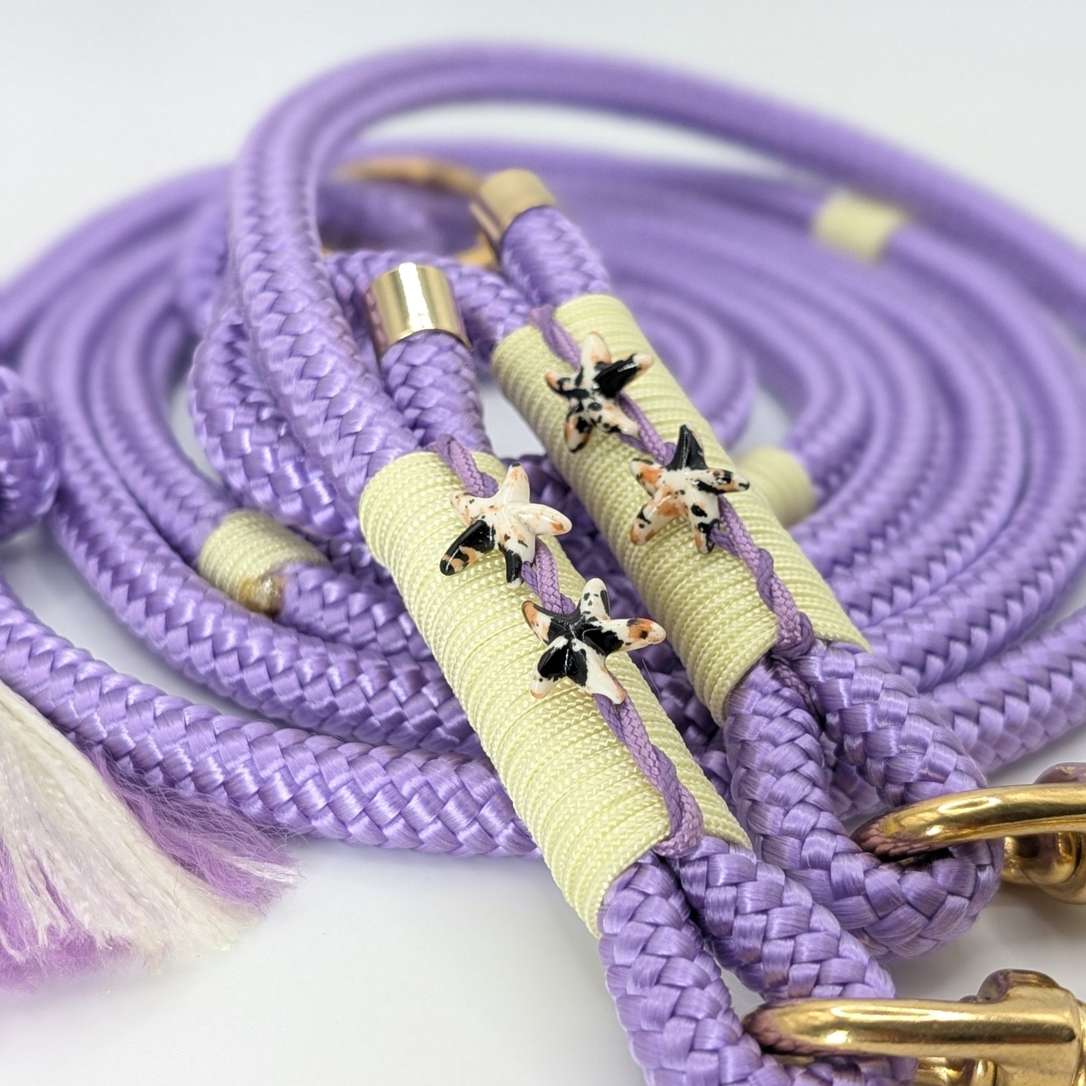 Hundeleine, Lederleine, Taueine, Hundehalsband