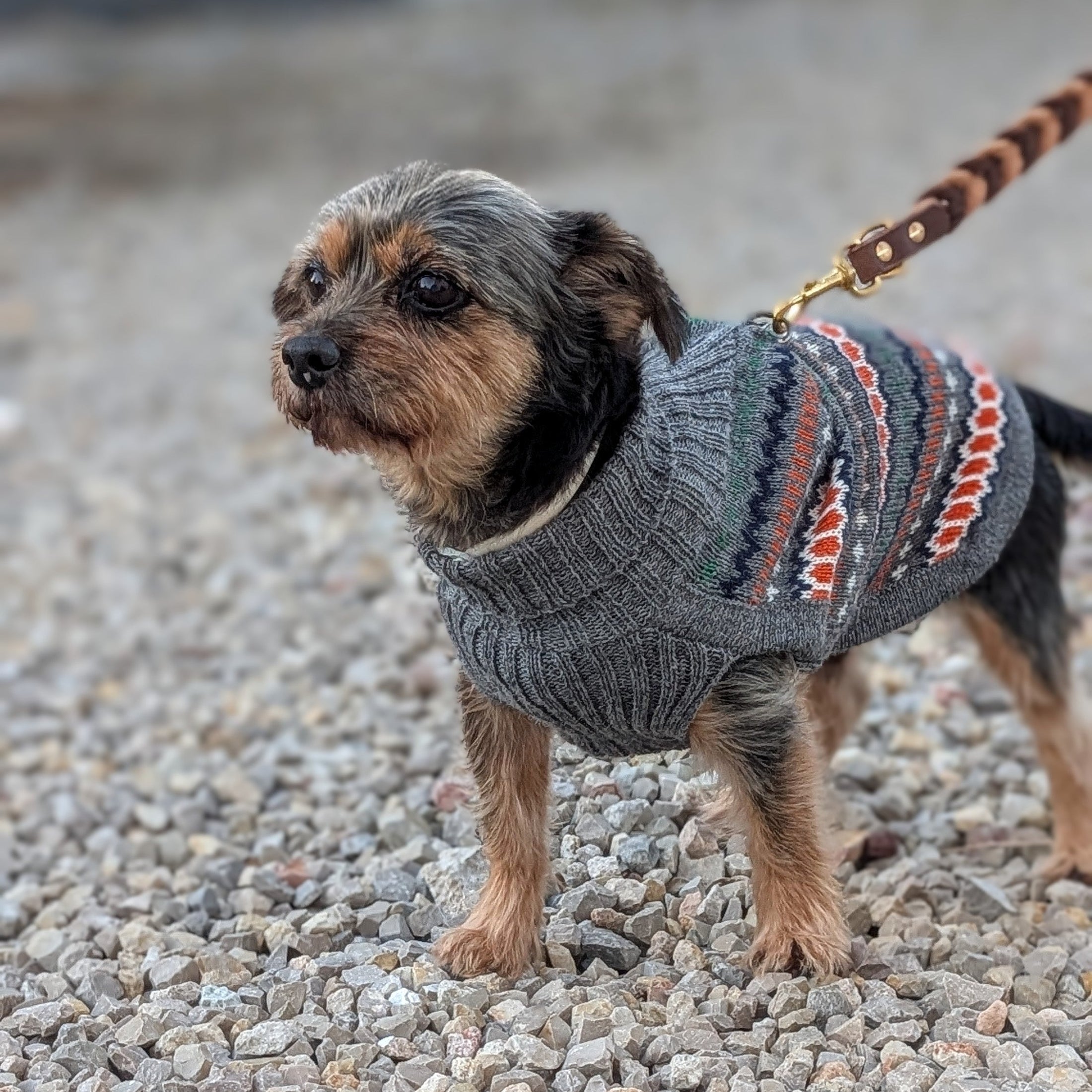 Hundepullover Grey Hexagon aus Alpakawolle – handgefertigt mit buntem Hexagon-Muster