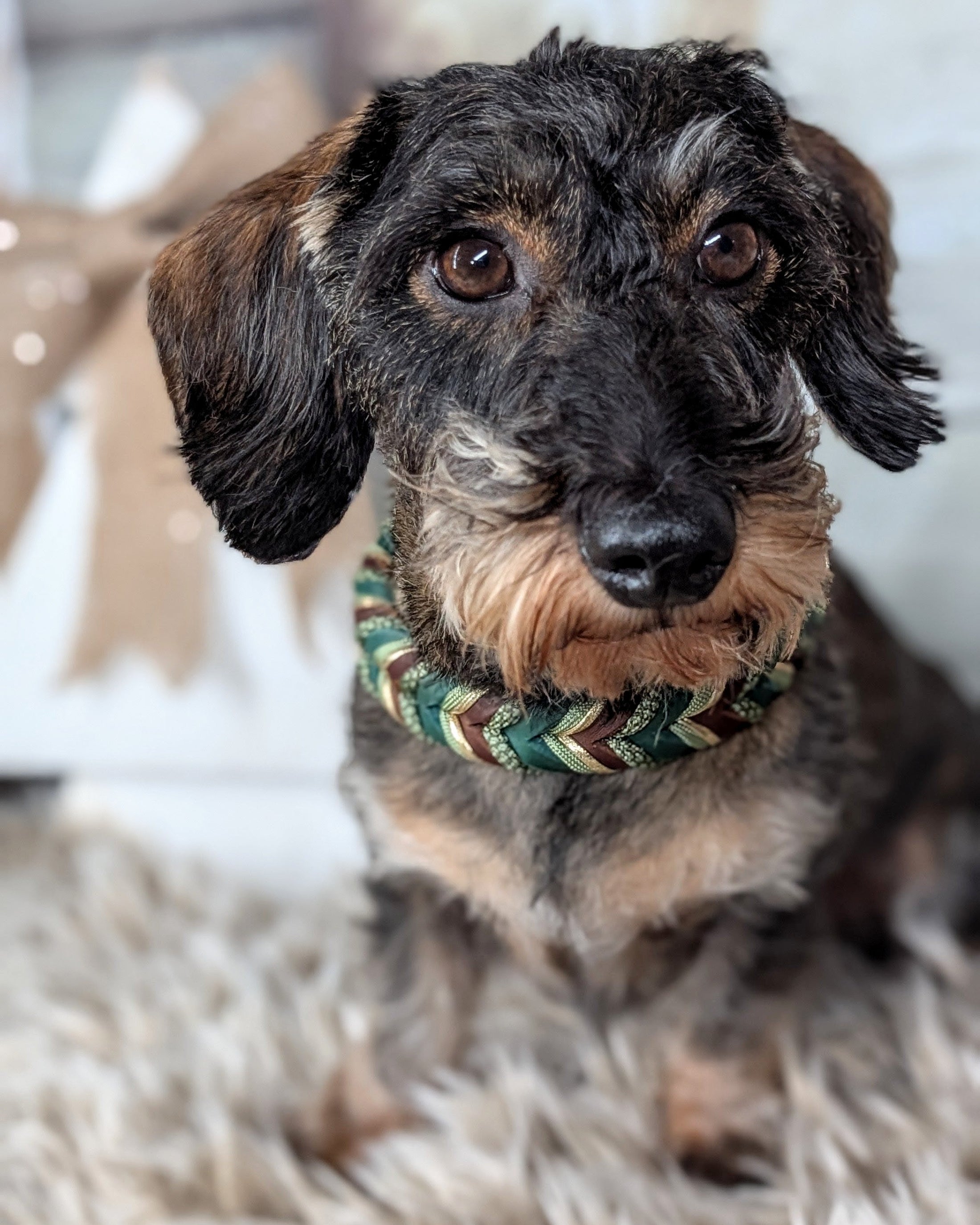 Halsband Pine – handgefertigt aus Fettleder von LucyLu Design®