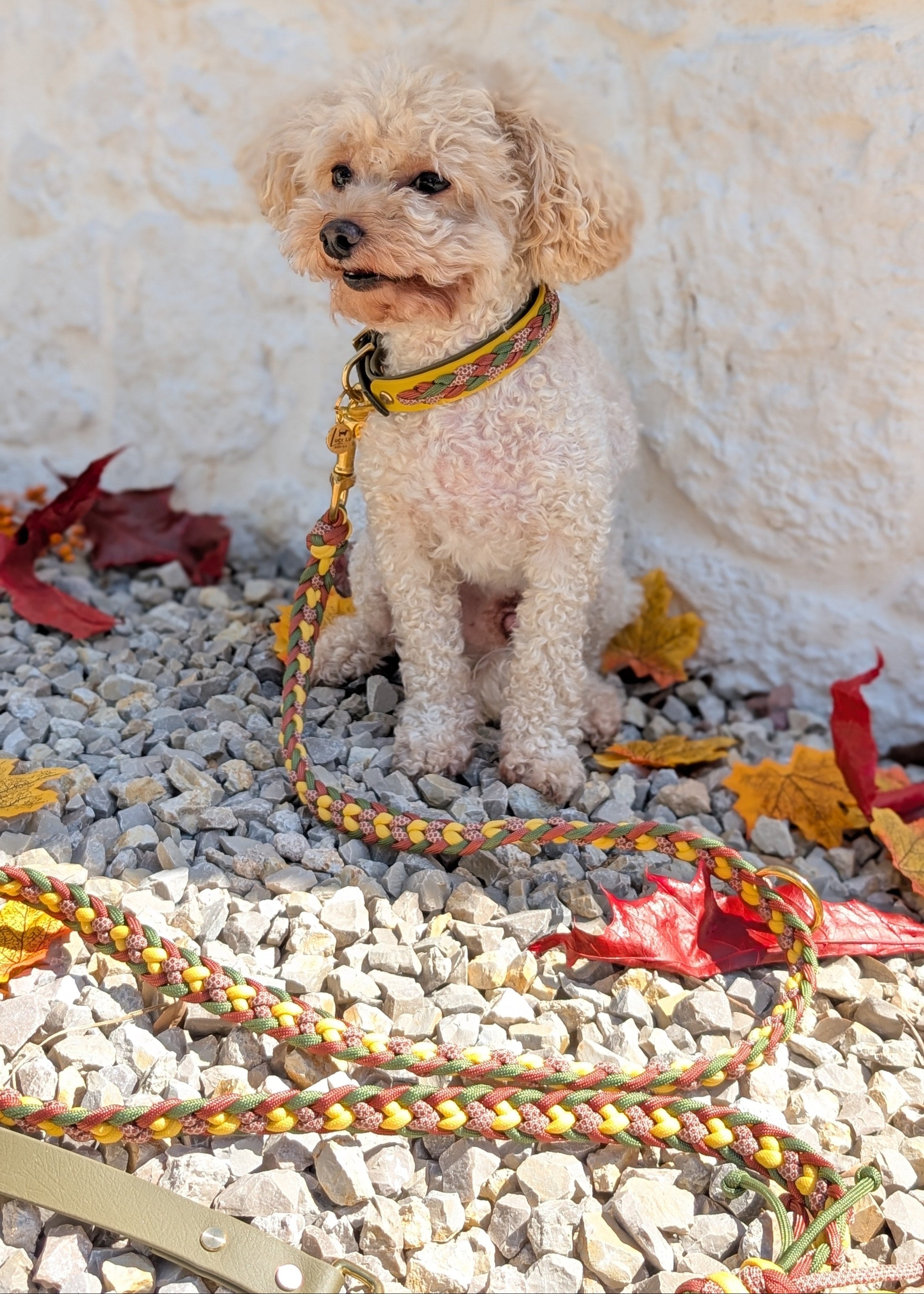 Calma Autumn Leaf – geflochtene Leine mit BioThane®-Kurzführer, Autumn Leaf Kollektion