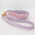 Bild in Galerie-Betrachter laden, BioThane Set Blush 2.0 – Halsband & Leine
