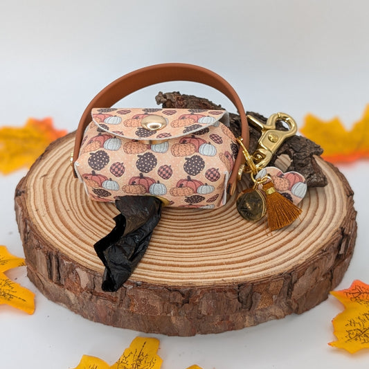 Poki „Pumpkin“ – herbstlicher Kotbeutelhalter mit Kürbis-Design, wählbar in Edelstahl (Silber) oder Messing (Gold)