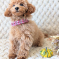 Bild in Galerie-Betrachter laden, Leder Hundehalsband Autumn Berry – Herbstkollektion LucyLu Design®
