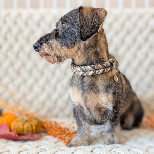 Leder Hundehalsband Muddy Forest – Herbstkollektion LucyLu Design®