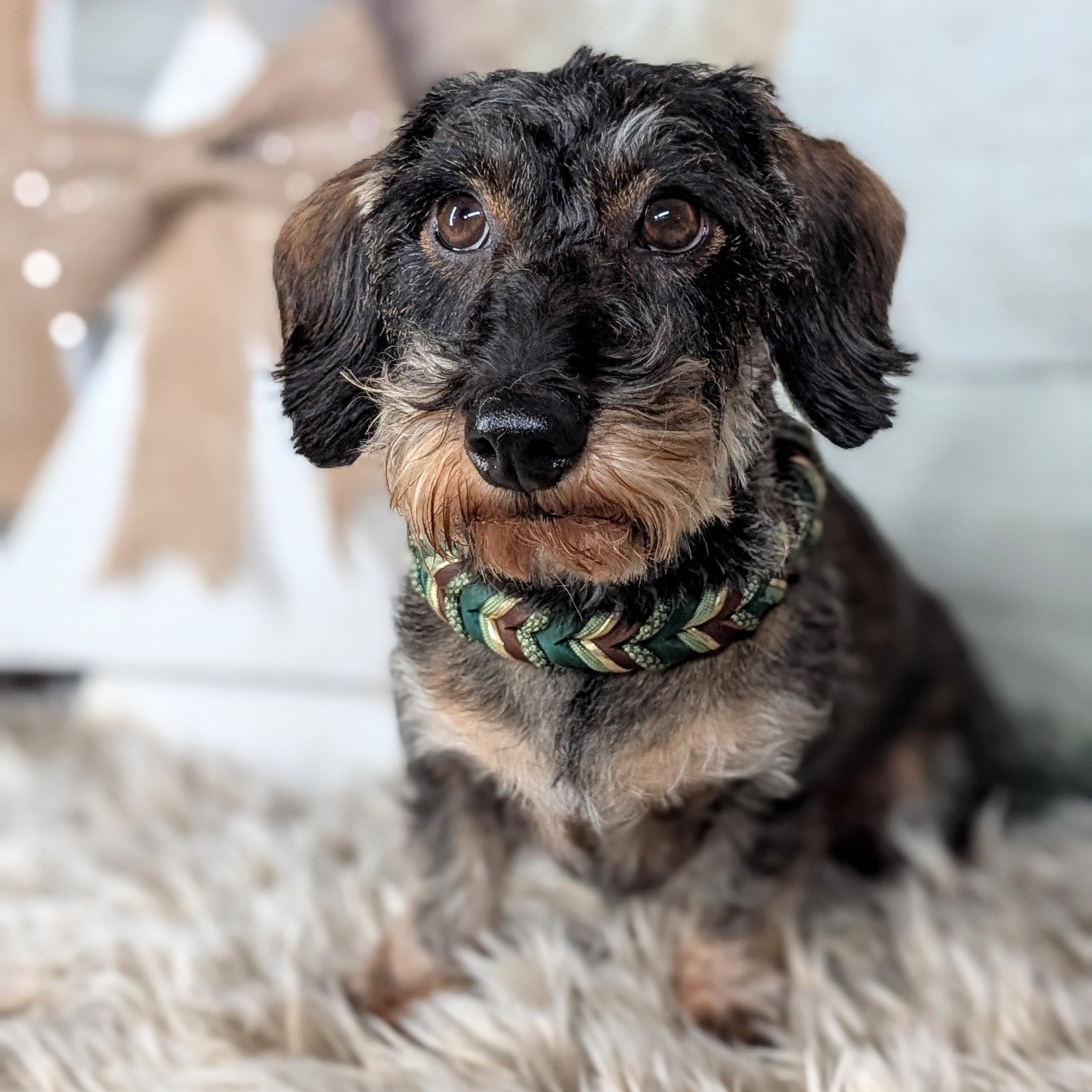 Halsband Pine – handgefertigt aus Fettleder von LucyLu Design®