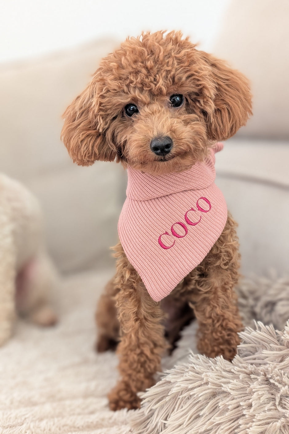 Strick-Bandana Rose – handgefertigtes Hundebandana aus Wolle, personalisierbar mit 
