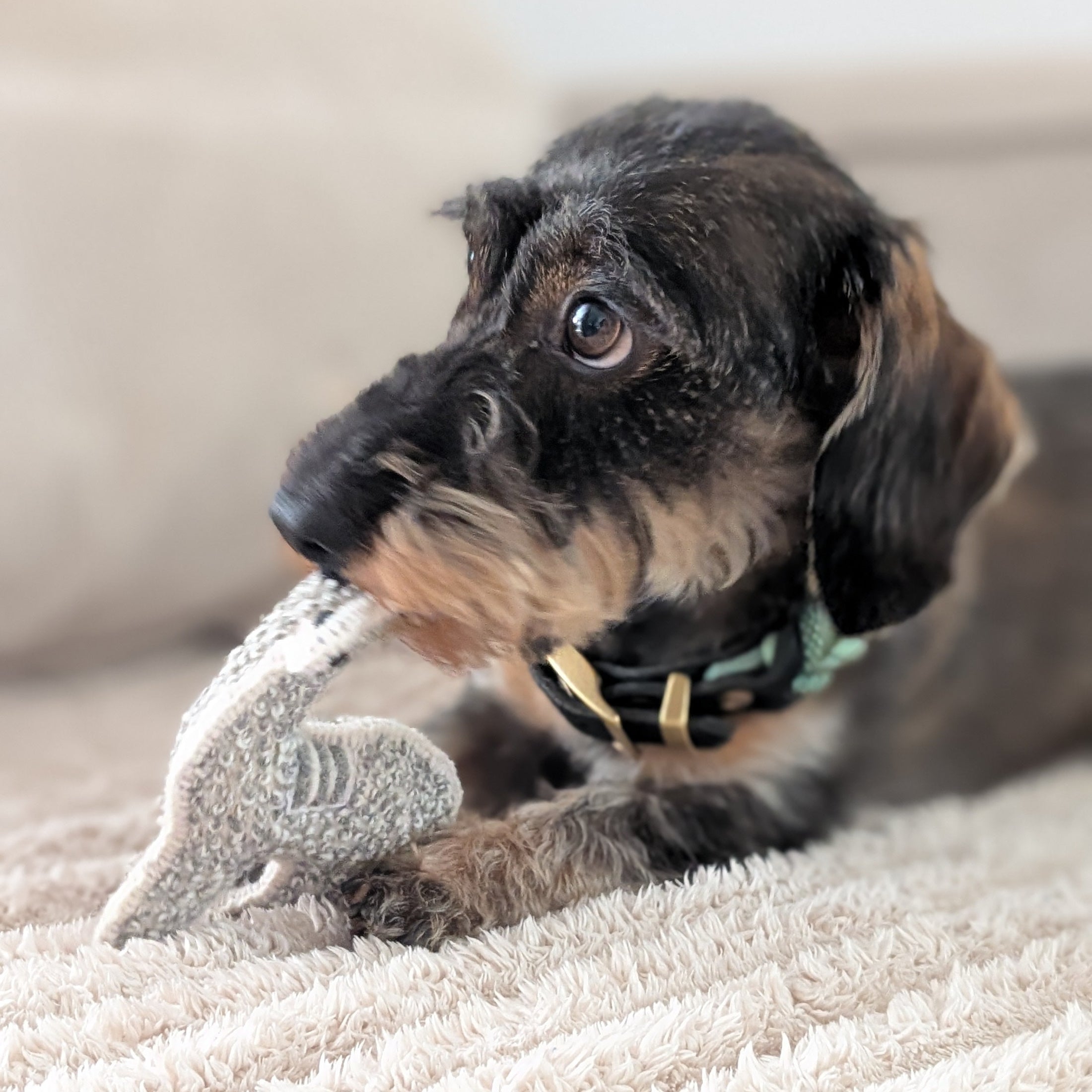 Alpaka-Toys mit Quietscher – handgefertigte Plüsch-Alpakas aus Alpakawolle aus Peru