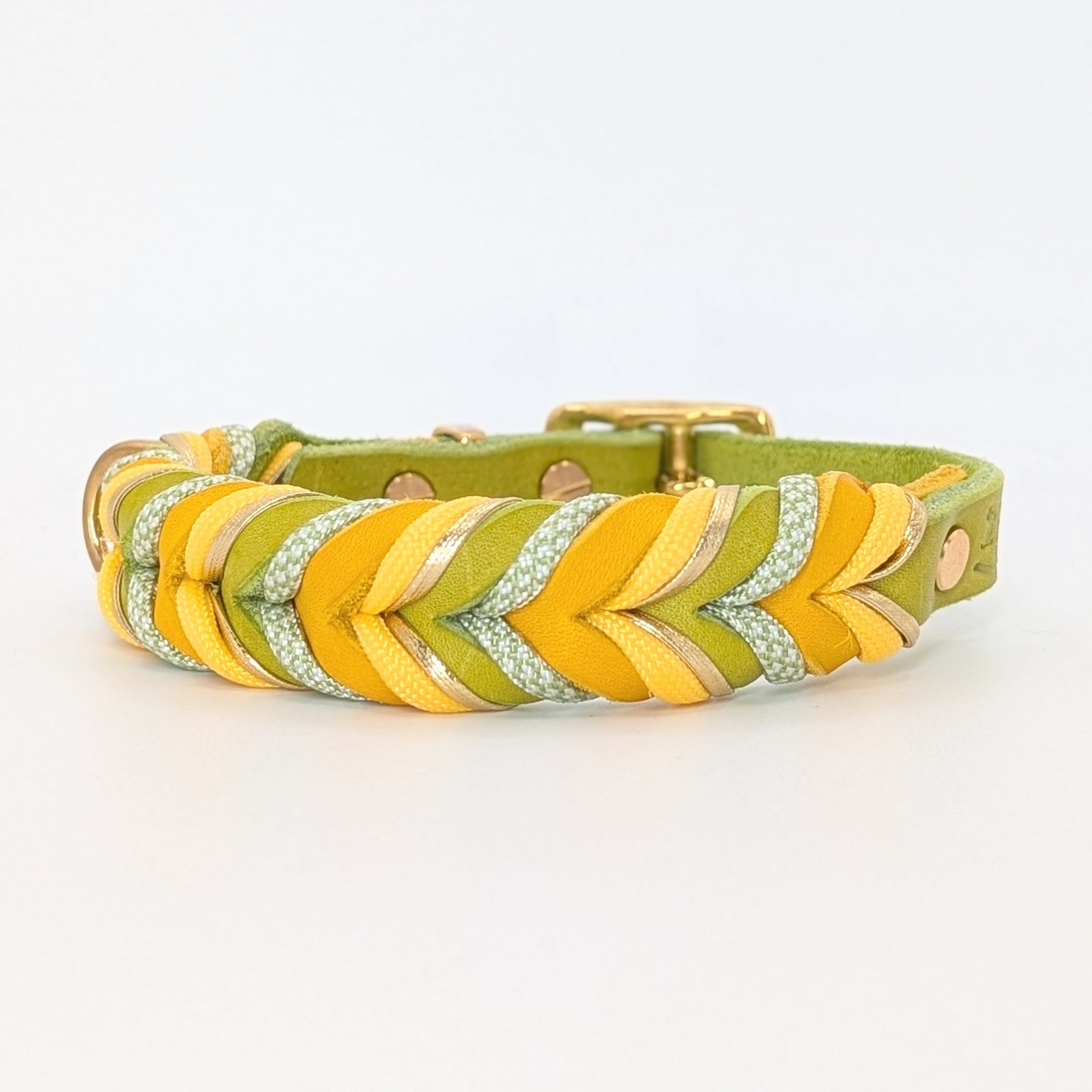 Leder Hundehalsband Bright aus Leder in frischer Frühlingsfarbwelt – handgemacht von LucyLu Design®