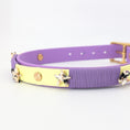 Bild in Galerie-Betrachter laden, Hundehalsband, Biothane Hundeleine, Lederleine, lucylu design
