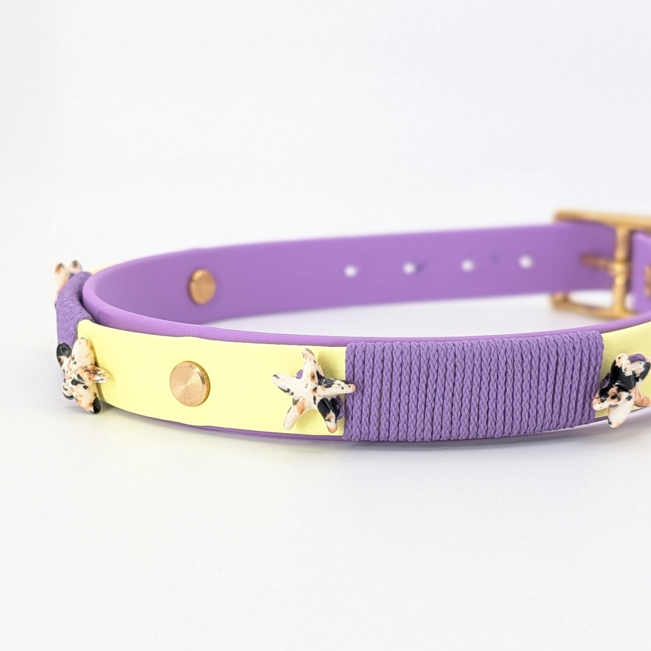 Hundehalsband, Biothane Hundeleine, Lederleine, lucylu design