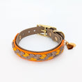 Bild in Galerie-Betrachter laden, Calma Whiskey Amber – geflochtenes Hundehalsband, Autumn Leaf Kollektion
