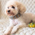 Bild in Galerie-Betrachter laden, Hund mit Lederhalsband Blue Oak in Dunkelblau & Cognac
