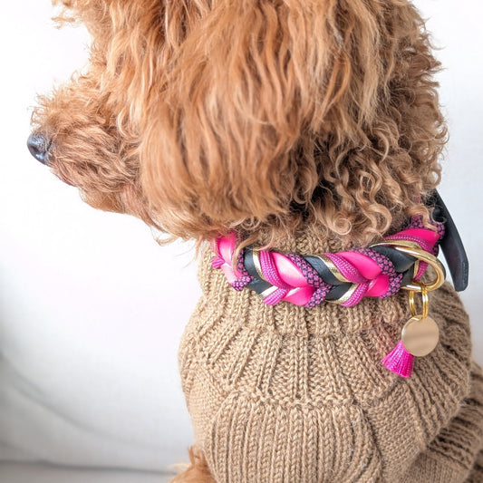 BioThane® Halsband Ruby 2.0 – winterliches Design mit klarer Eleganz