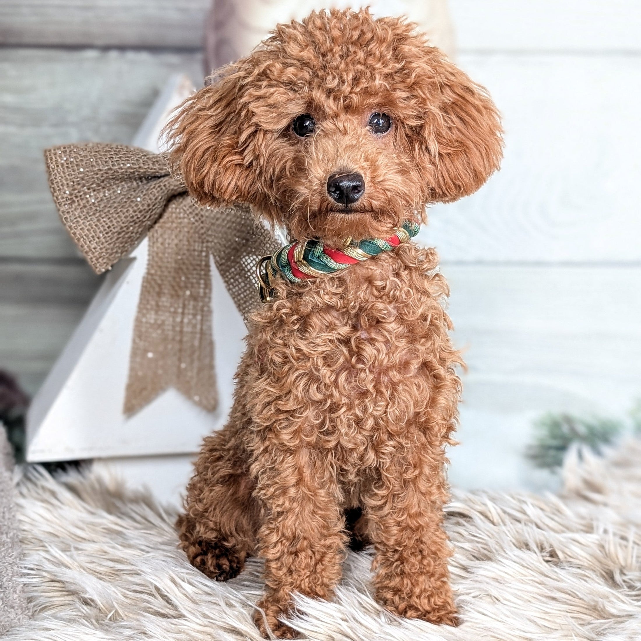 Halsband Holly – handgefertigt aus Fettleder von LucyLu Design®