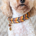 Bild in Galerie-Betrachter laden, Leder Hundehalsband Whiskey Ember – Herbstkollektion LucyLu Design®
