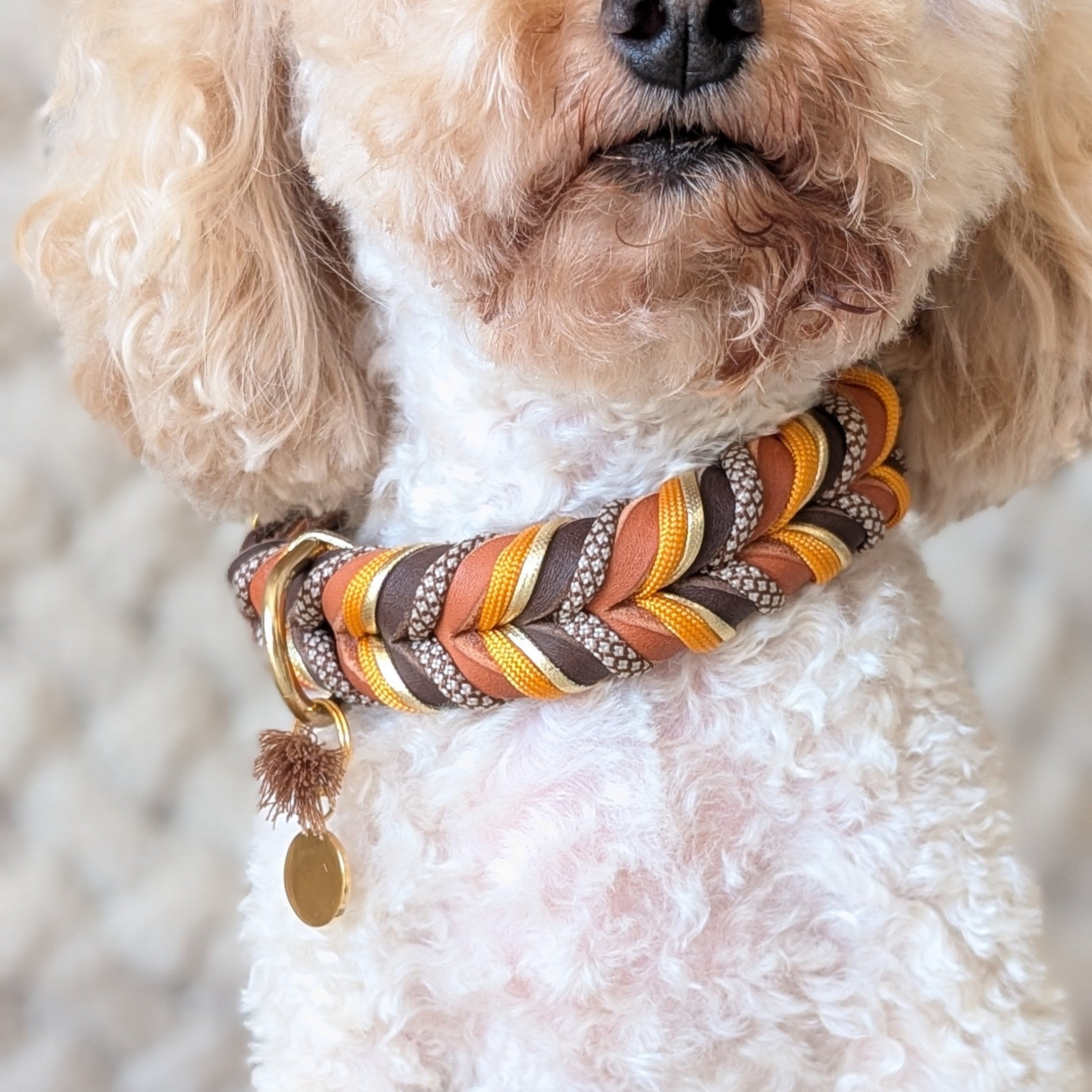 Leder Hundehalsband Whiskey Ember – Herbstkollektion LucyLu Design®