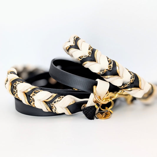 BioThane Leine Arctic Leo 2.0 – wasserfest & verstellbar