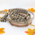Bild in Galerie-Betrachter laden, Calma Muddy Forest – geflochtene Leine mit BioThane®-Kurzführer, Autumn Leaf Kollektion
