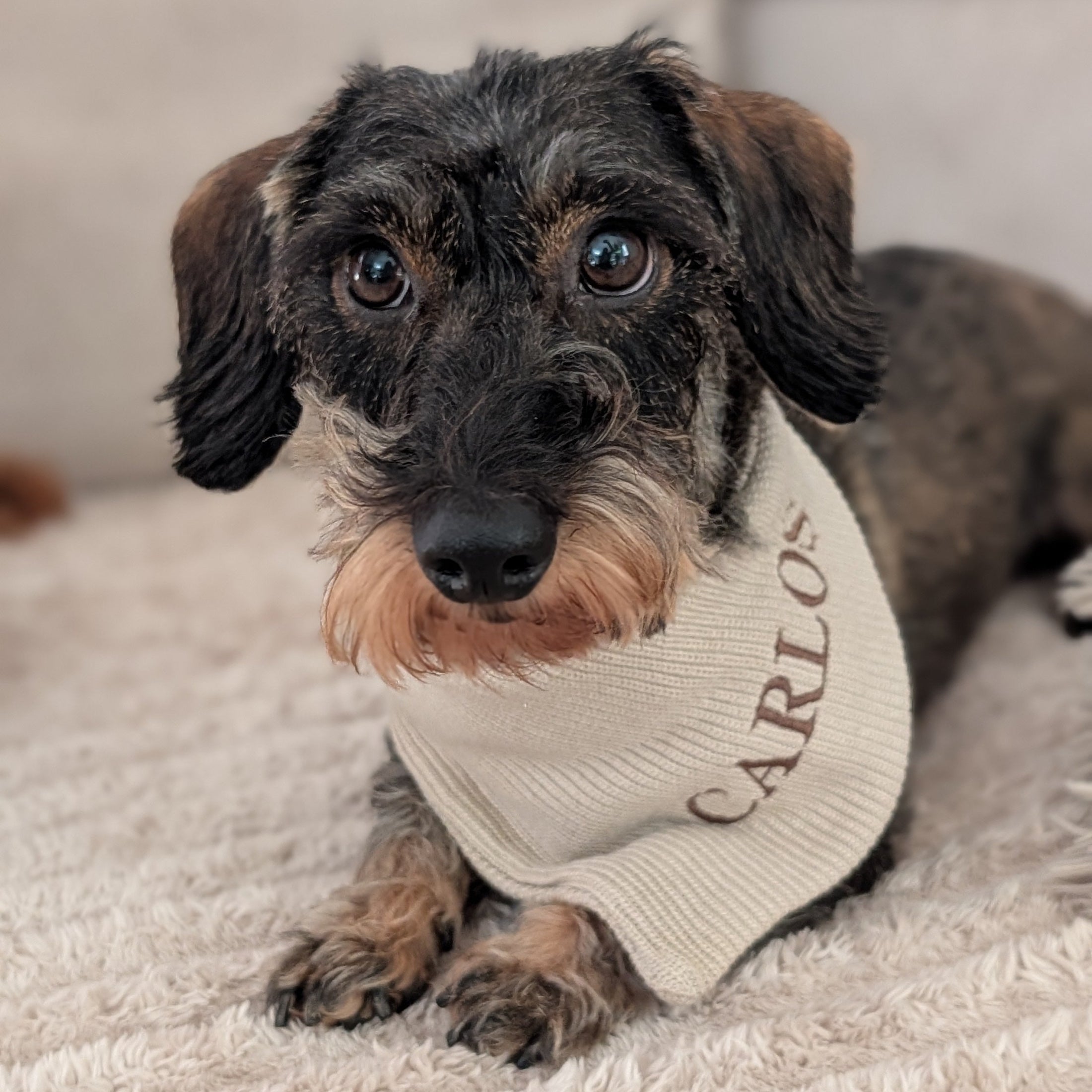 Strick-Bandana Beige Toffee – weich, handgefertigt & personalisierbar mit Namen.
Aus Wolle mit Elasthan, warm & stilvoll für Herbst und Winter.