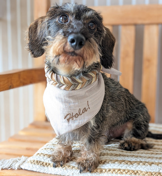 Hund mit Halsband „Toffee“ in warmem Braun