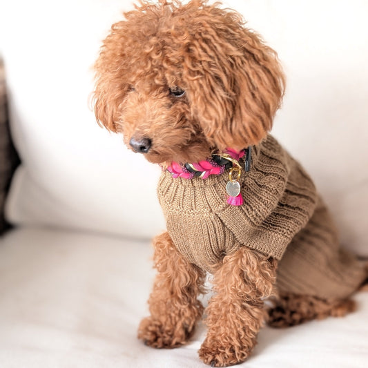 BioThane® Set Ruby 2.0 – Halsband & Leine im eleganten Winterdesign