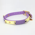 Bild in Galerie-Betrachter laden, Hundehalsband, Biothane Hundeleine, Lederleine, lucylu design
