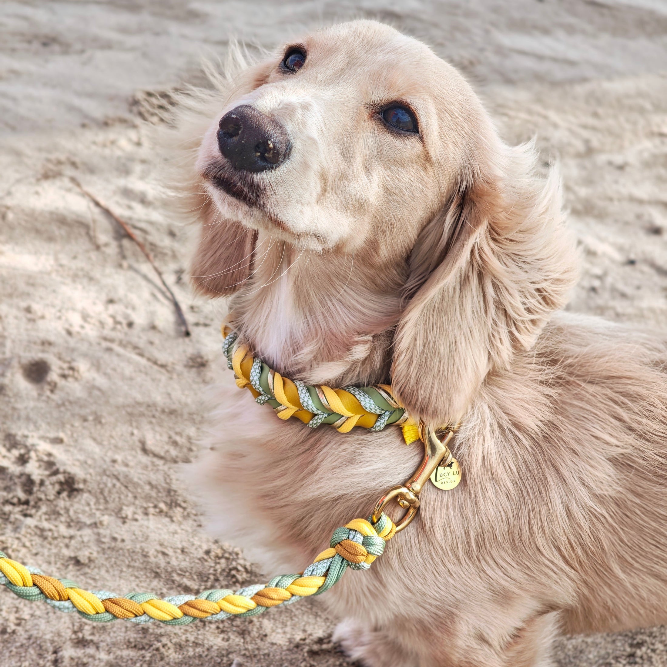 BioThane Halsband Bright 2.0 – strahlendes Frühlingsdesign