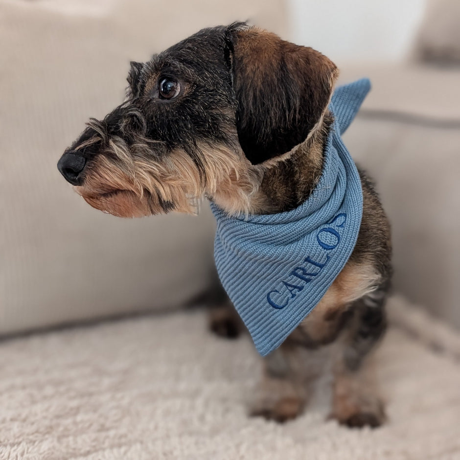 Strick-Bandana Petrol – handgefertigtes Hundebandana aus Wolle, personalisierbar mit Namen