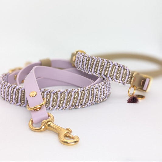 Hundeleine, Hundehalsband, Set Flieder aus BioThae