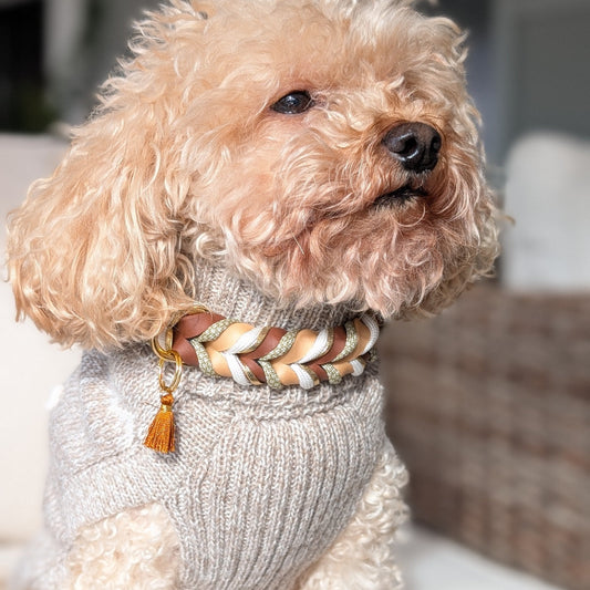 BioThane® Halsband Loam 2.0 – ruhiges, erdiges Design