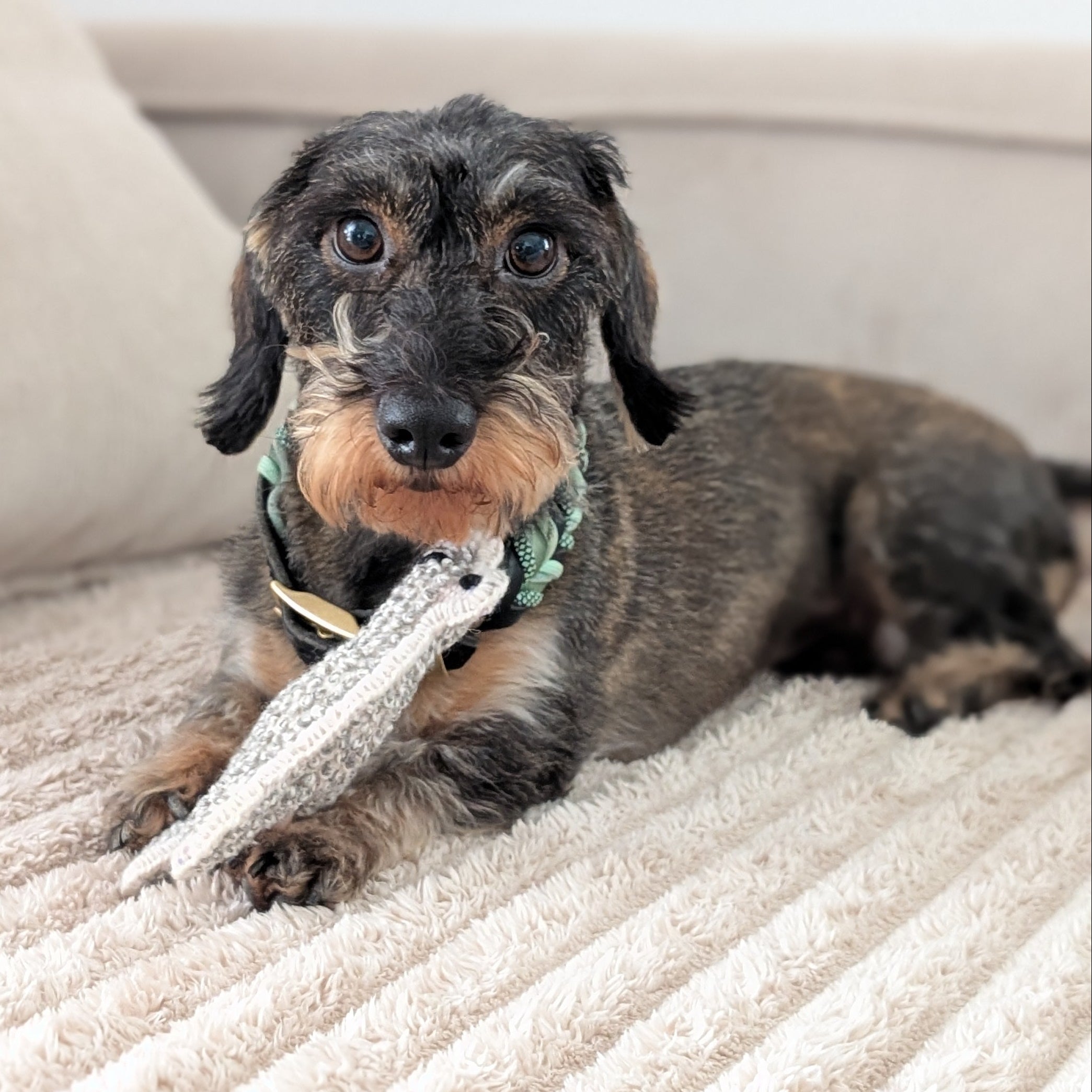 Alpaka-Toys mit Quietscher – handgefertigte Plüsch-Alpakas aus Alpakawolle aus Peru