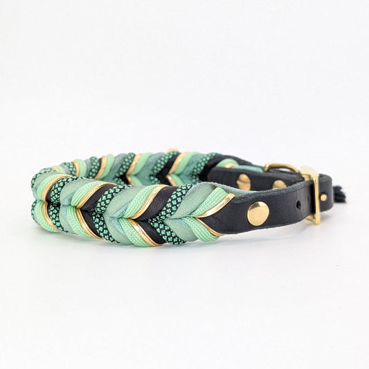 Halsband Hugo – edles Hundehalsband handmade