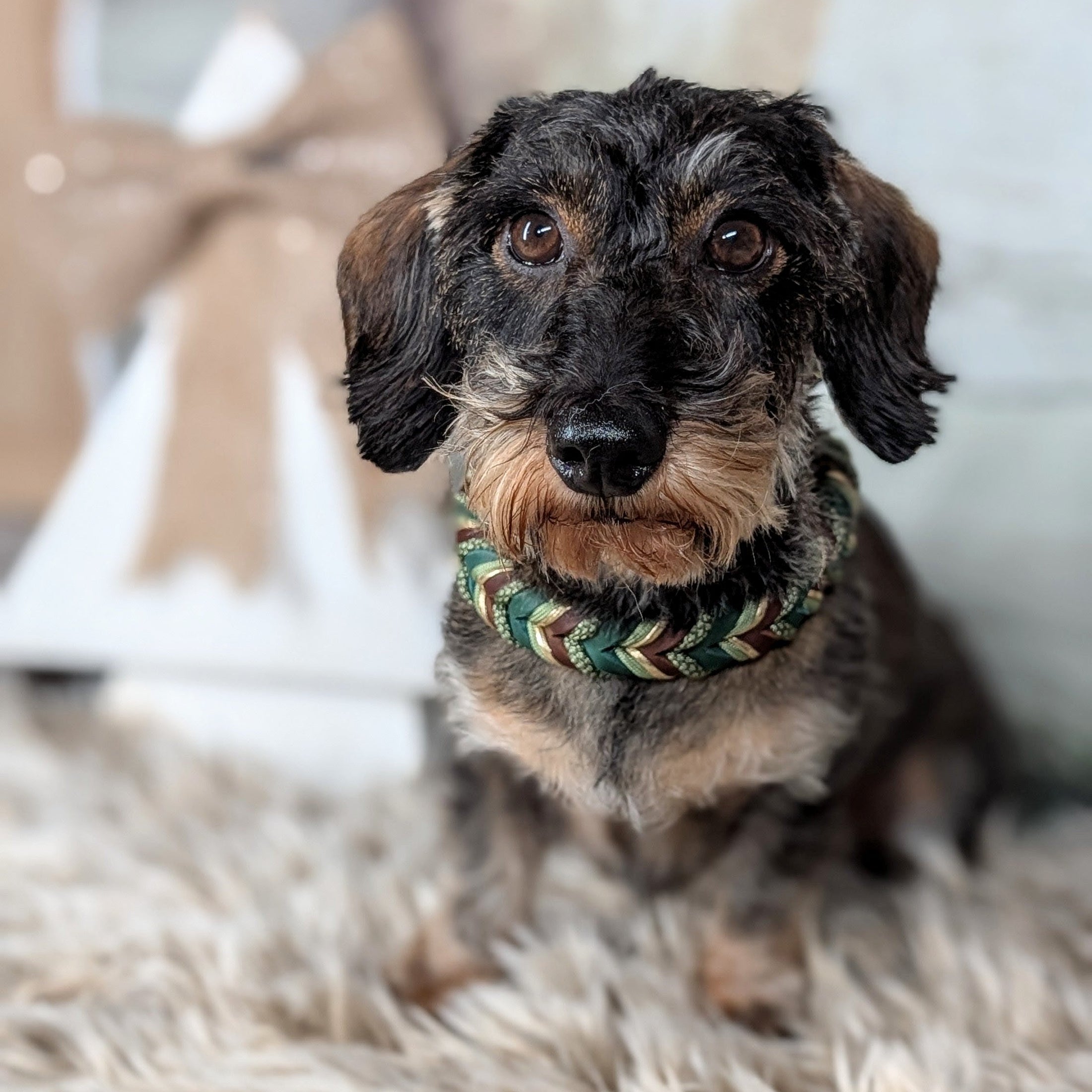 Halsband Pine – handgefertigt aus Fettleder von LucyLu Design®