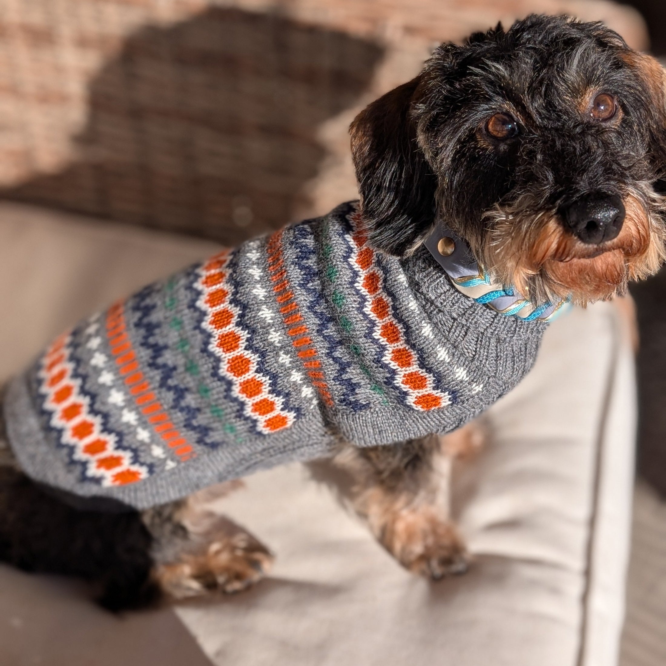 Hundepullover Grey Hexagon aus Alpakawolle – handgefertigt mit buntem Hexagon-Muster